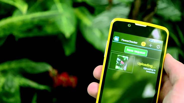 9 Best apps to identify plants by photos
